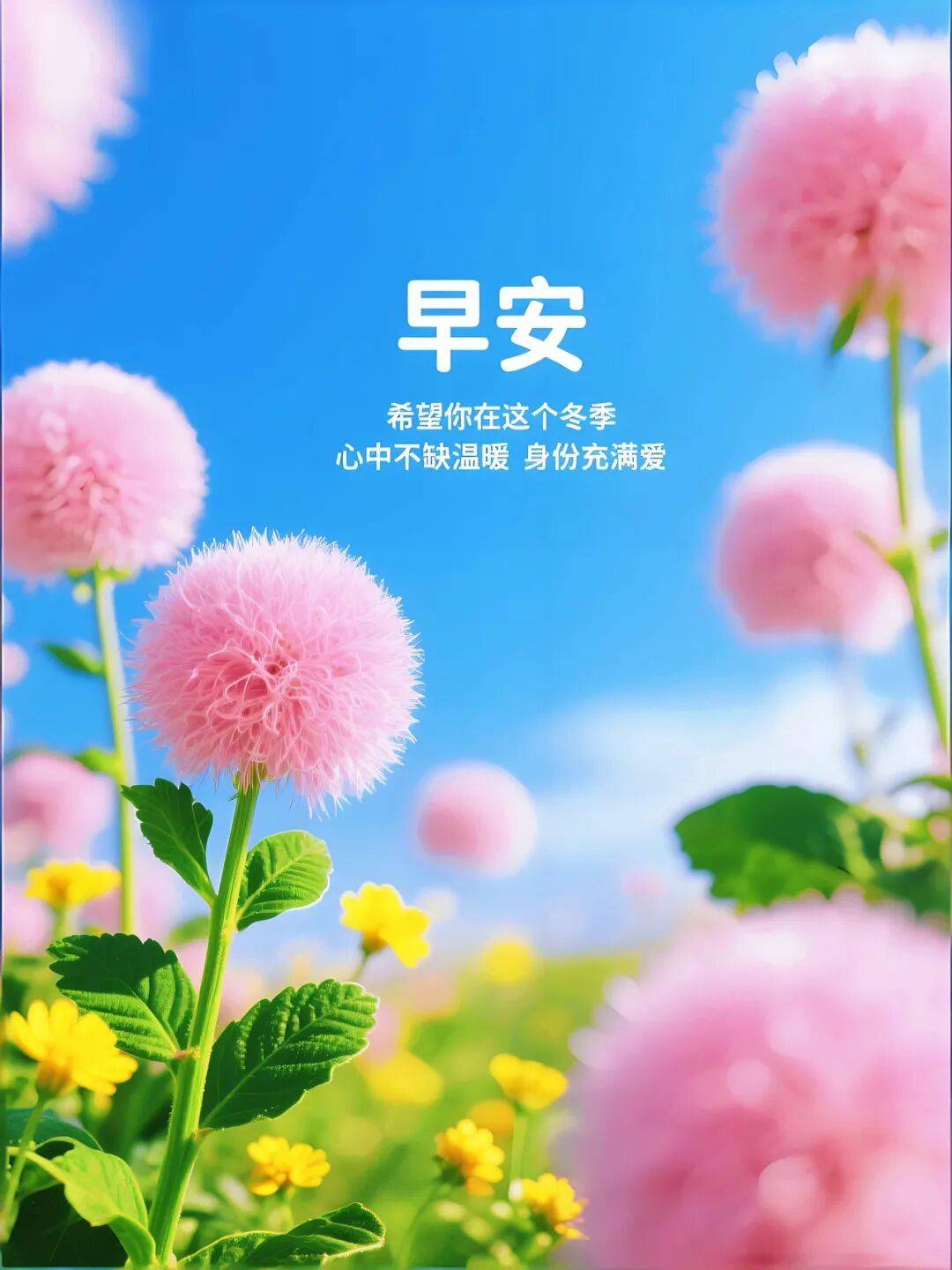 50句早上好问候语每日更新,正能量早安,很赞的短句,漂亮祝福,早安快乐