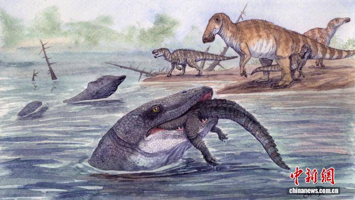 6600万年前牙齿化石研究揭示：海洋捕食者沧龙或曾在河流捕猎