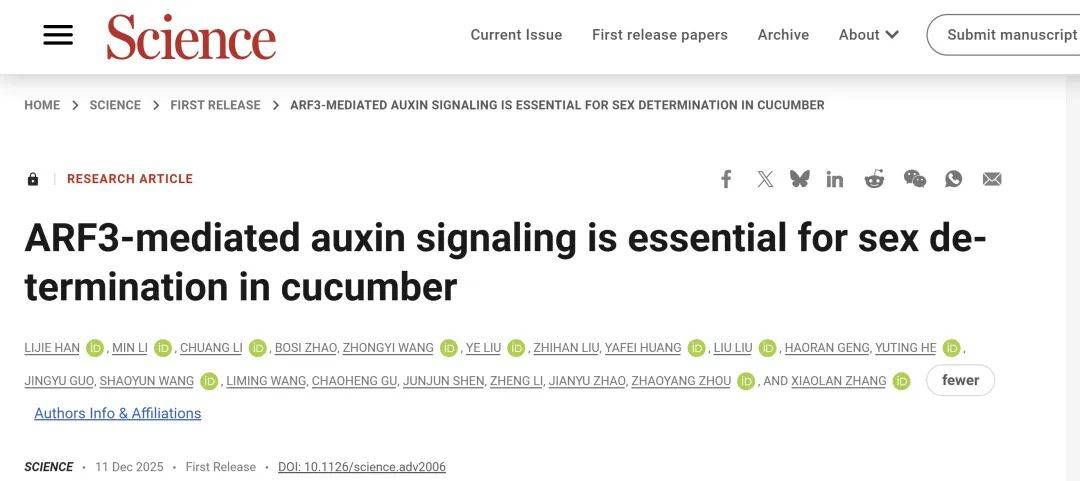 Science+1！攻克未解之谜——生长素促雌机理！_调控_雌花_黄瓜