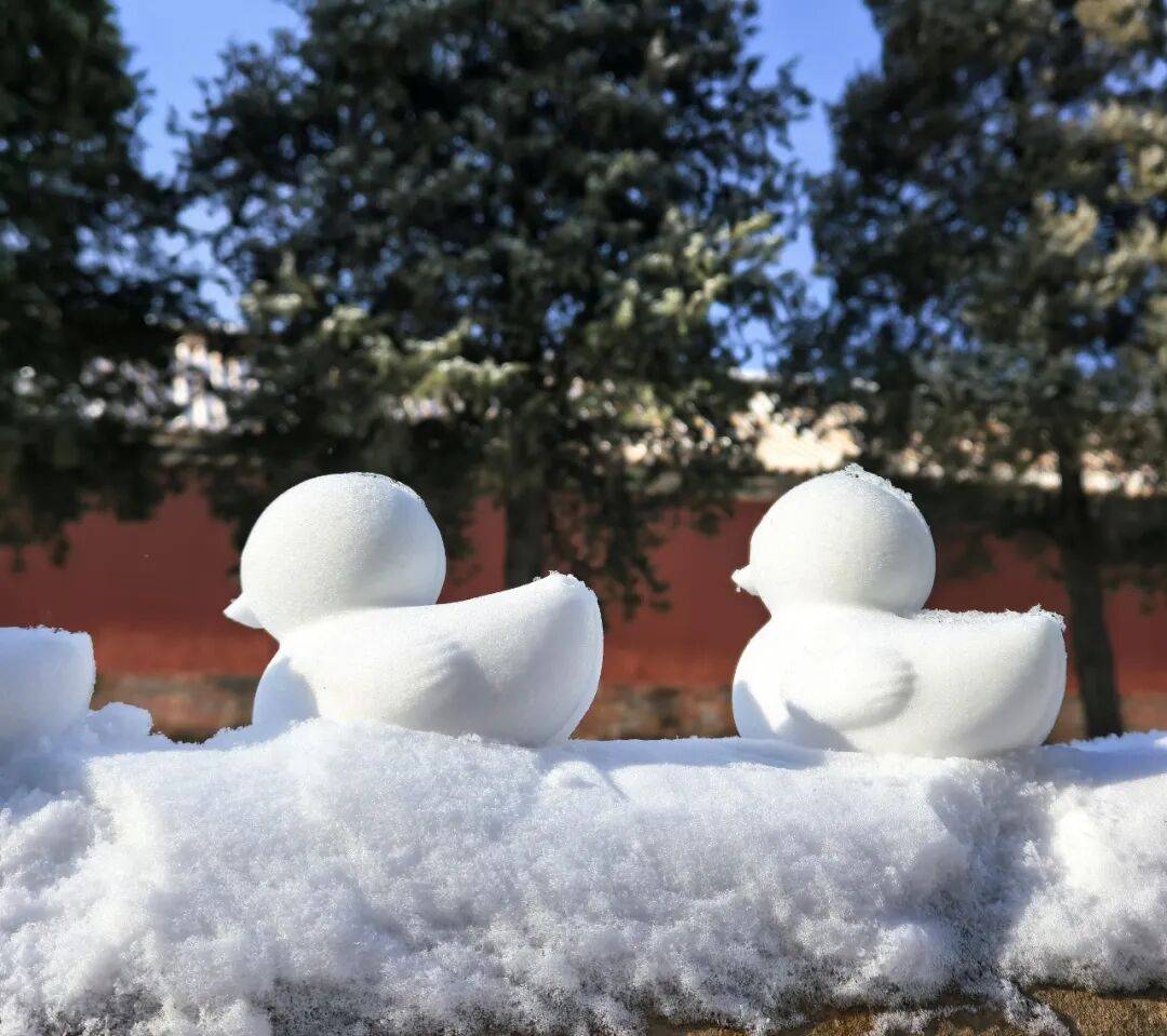 北京初雪，火爆的玩雪神器里藏着中国速度｜热聊_工具包_财经_雪人
