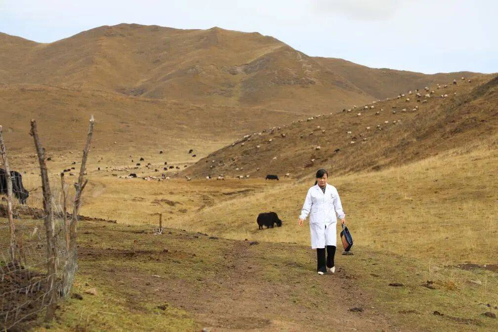 草原上的“曼巴” 偏远牧区的“健康使者”