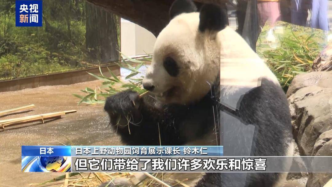 旅日大熊猫即将回国 日本民众排队送别-华闻时空