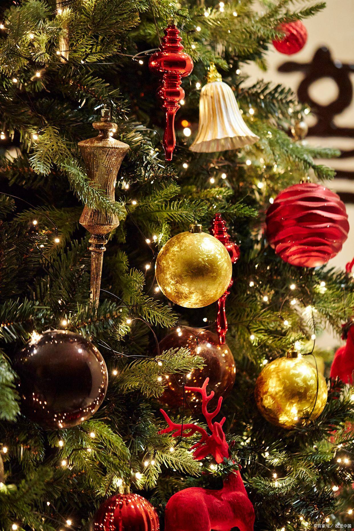 叮叮当~圣诞节恰逢深冬"数九"寒天,外面的世界寒风瑟瑟