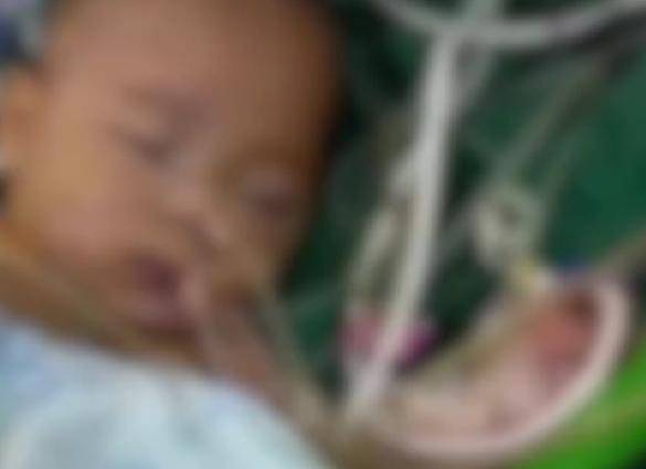 小洛熙法医报告公布 法律不能再缺席丨中听