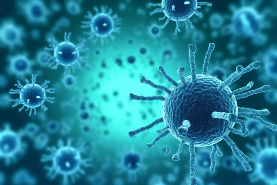  现在最流行的病毒是什么病毒?(现在最流行的病毒感染有哪些)