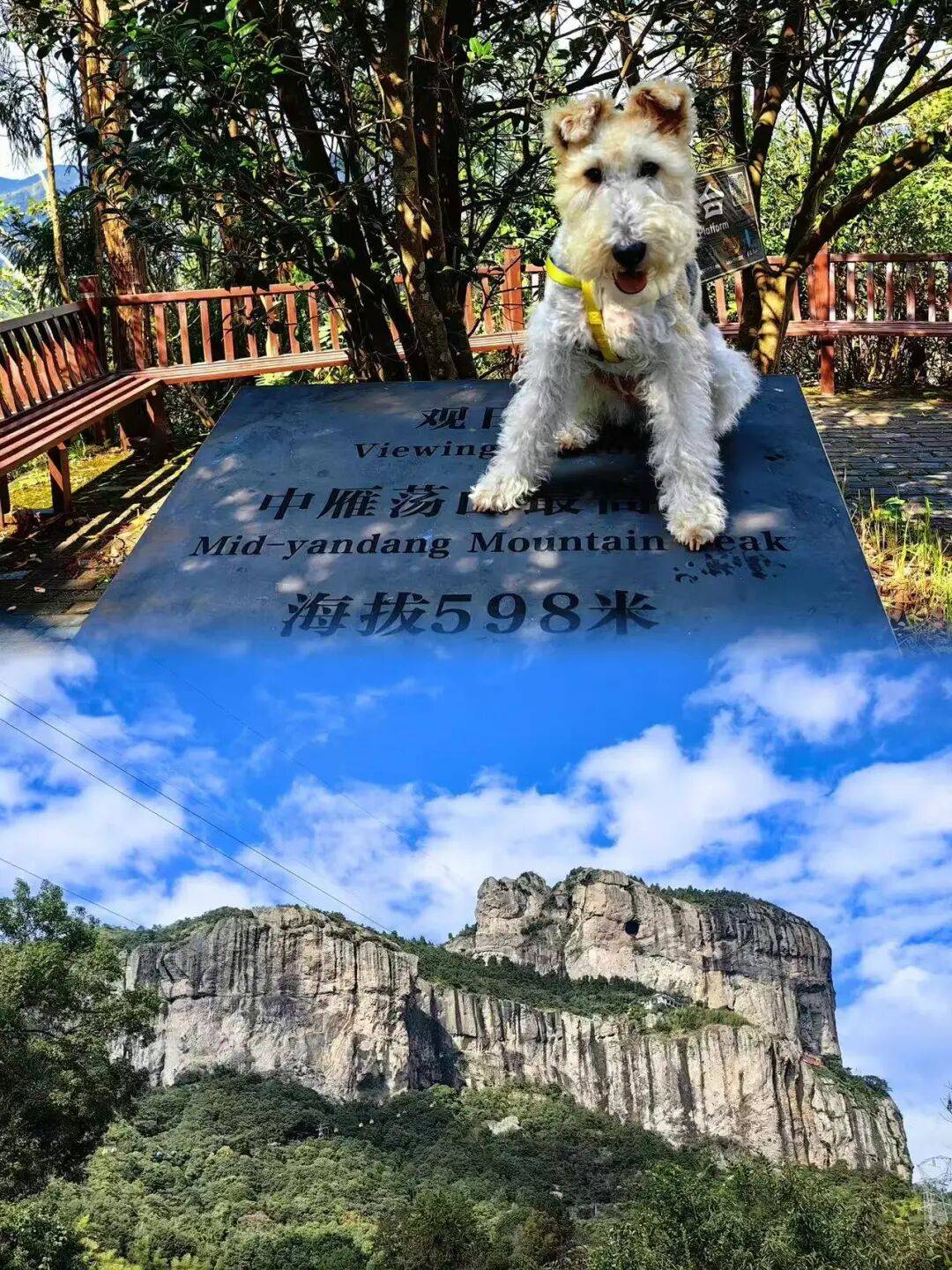 下山赴一场山脚的冬日约会on the mountain带着满心清风与美景下山