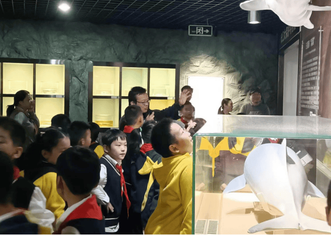 行走江城,共绘青绿——市民群众的“生态课堂”