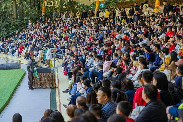 迎客17875万人次+旅游收入9NBA职业联赛中文官网__实时赛程比分+球队资讯98亿元！2026年元旦假期广东文旅开门红