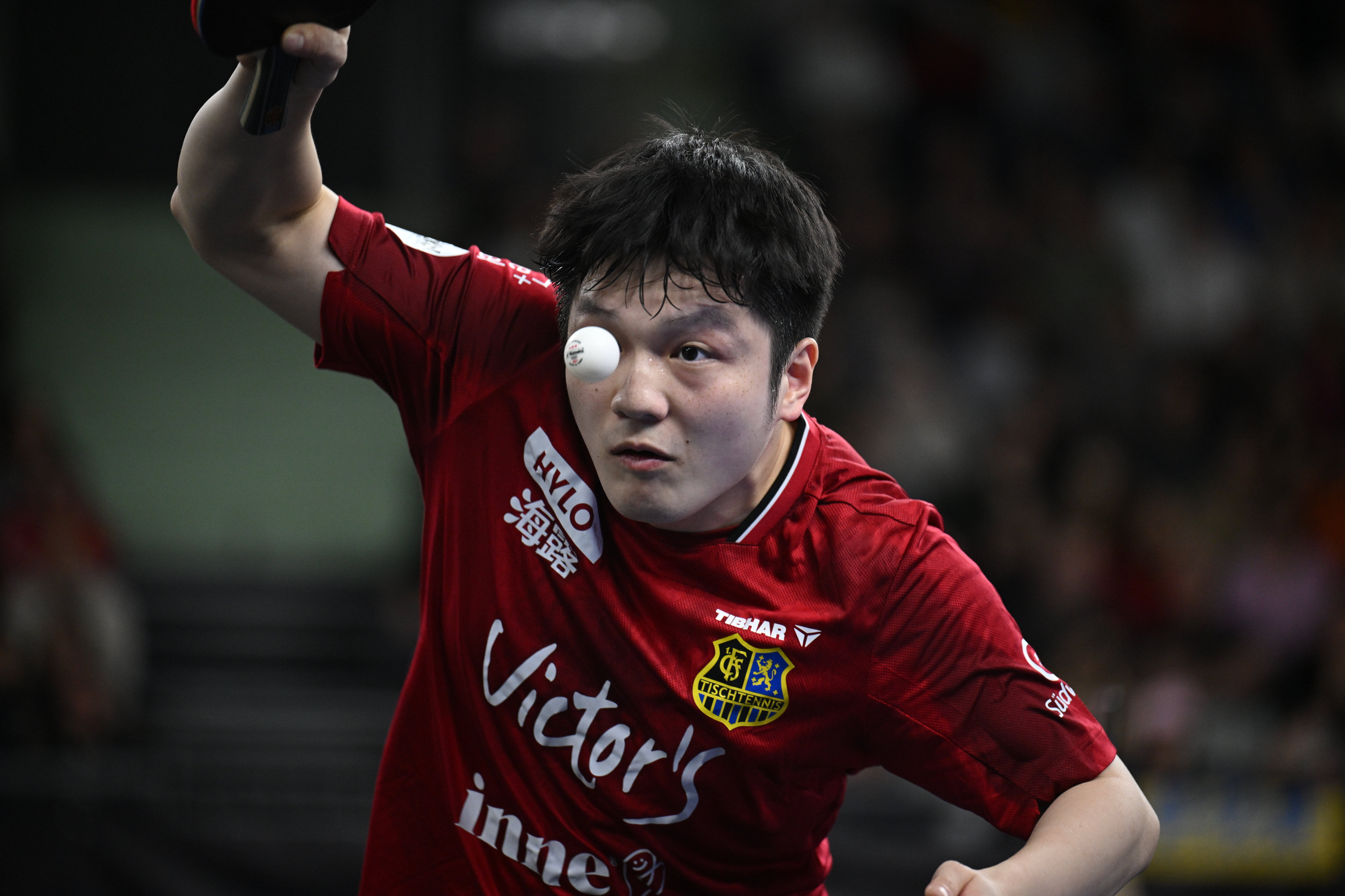 —樊振东率队晋级德国杯决赛