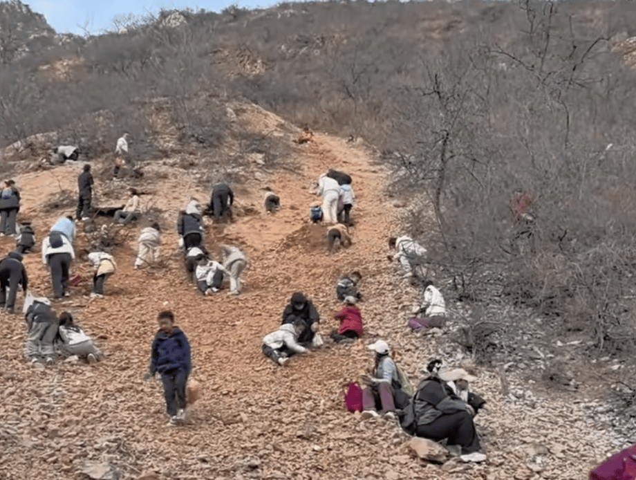 手机报·早报丨民航局今年要整治过低票价；