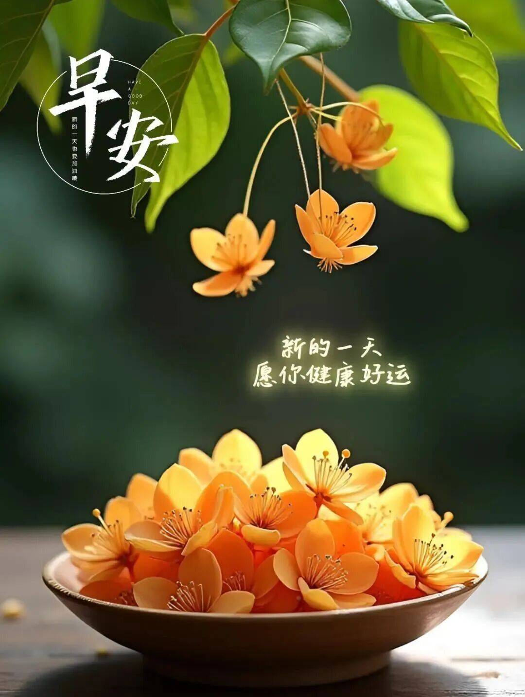 140张2026年1月8日最新版早上好精选带字图片,唯美祝福语,清晨一声好