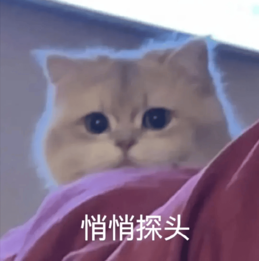 背完你的背你的,考完你的考你的……_复习_网友_小时