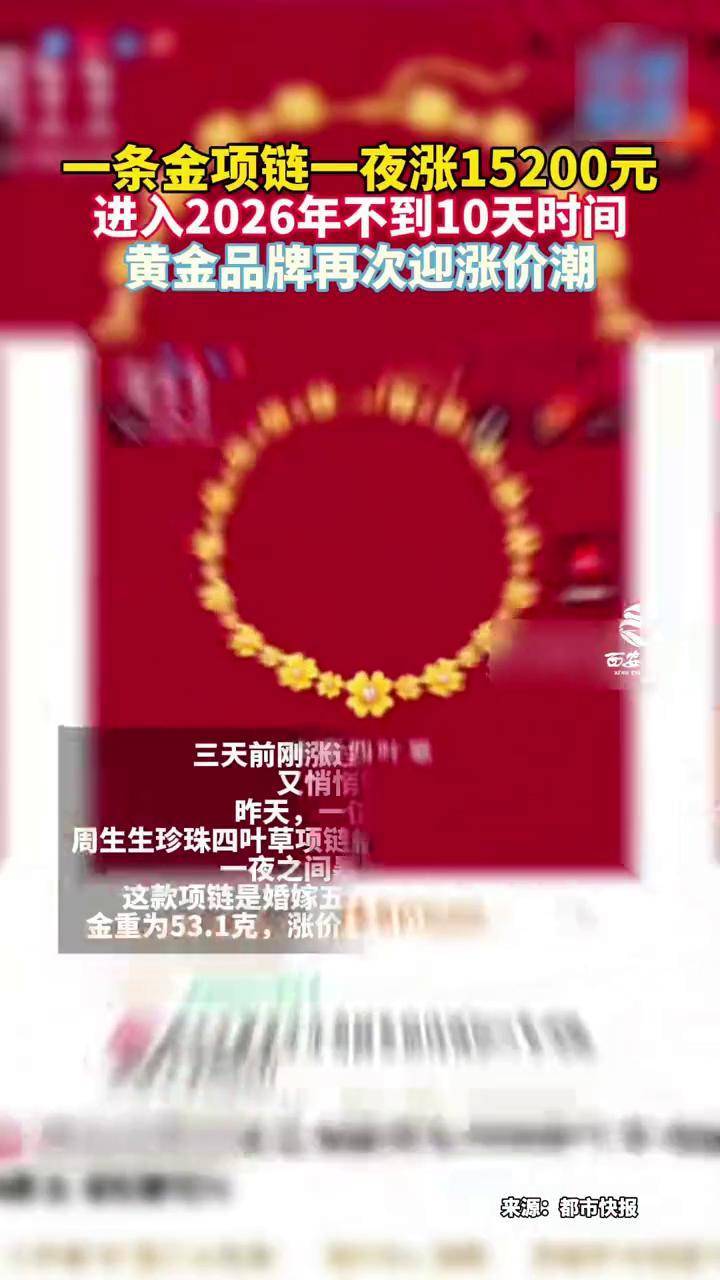 一条金项链一夜涨15200元进入2026年不到10天时间，黄金品牌再迎涨价潮。#黄金首饰_搜狐网