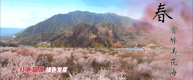 知识科普｜了解文物保护知识