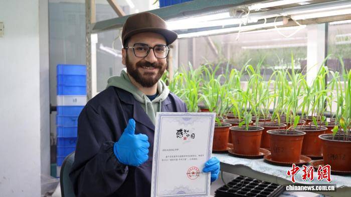 始于对乡里处境题目的亲切