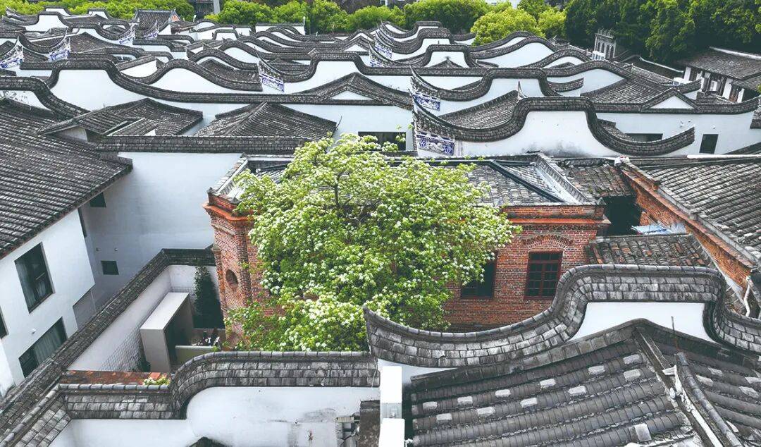 基层治理 | 《福建支部生活》关注福州:社区“红色朋友圈”扩容记_小区_居民_苍霞新城