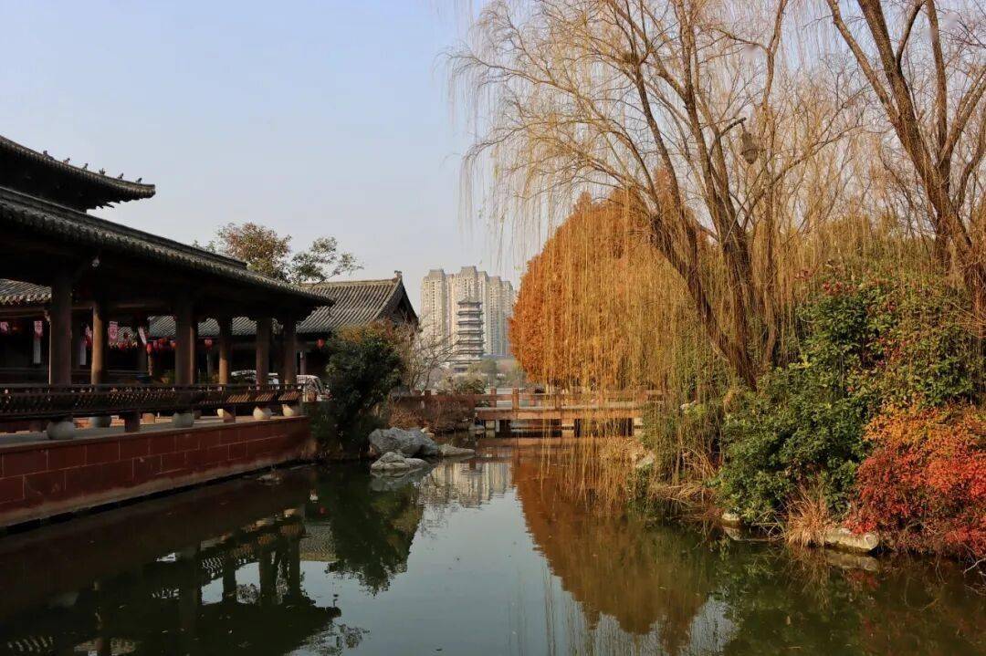 江心洲公园里岁月琴弦