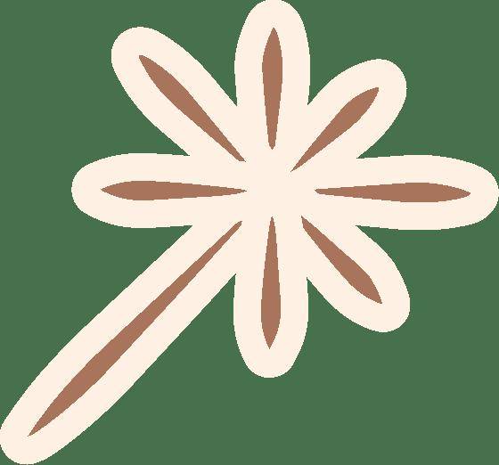北大社新书抢先看｜1－2月这些书值得期待