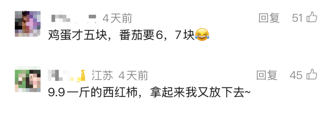 西红柿价格暴涨近10倍！“涨价将持续到3月！”