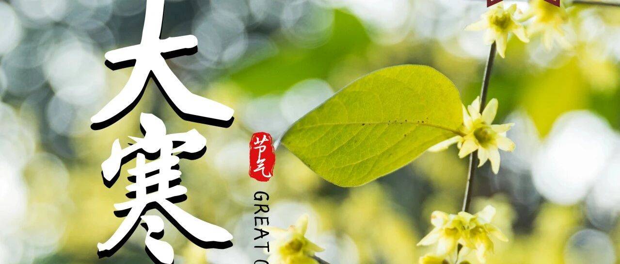 今日大寒 | 岁末天寒，静待春归_时节_运动_数枝