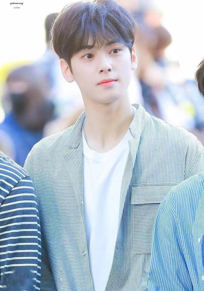 车银优被追缴税款打破韩国艺人最高纪录，其否认逃税事实，要申诉_搜狐网