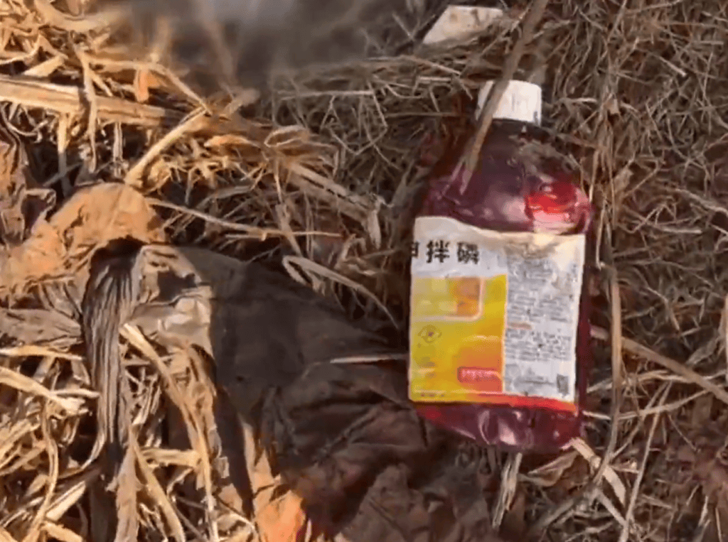 云南建水县回应薯农使用禁用高毒农药种植红薯：已成立联合调查组