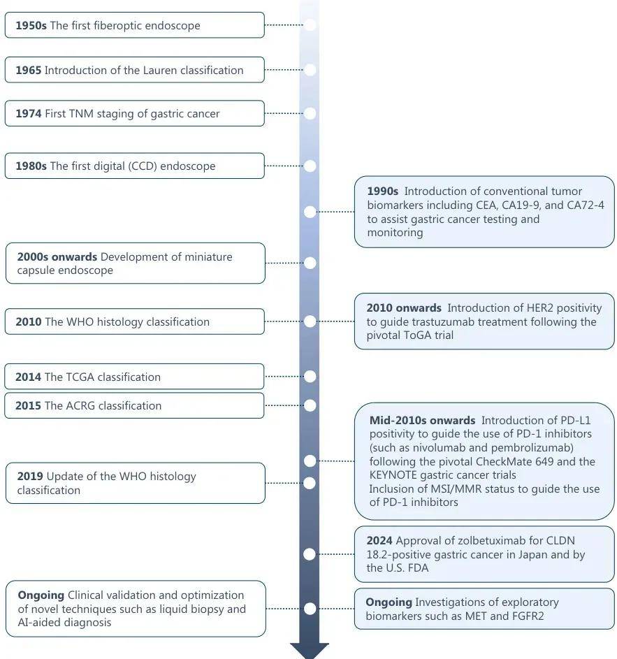 胃癌治疗进入“制导导弹”时代！看懂HER2、PD-L1这些“肿瘤身份证”