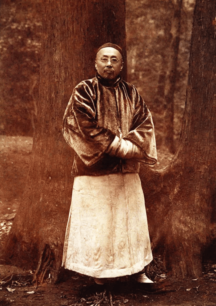 沈曾植书法评传