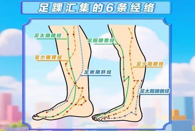 足踝是人体“第二心脏”！疼痛肿胀，或是“求救信号”