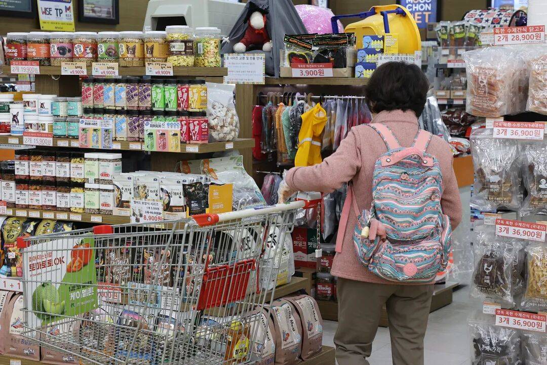 图片[10]-不生孩子的韩国年轻人，花几千元送狗上学？-华闻时空