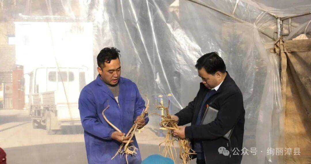【人大代表 政协委员风采】杨俊昌:脚下沾满泥土 为民倾注真情_群众_中药材_老人