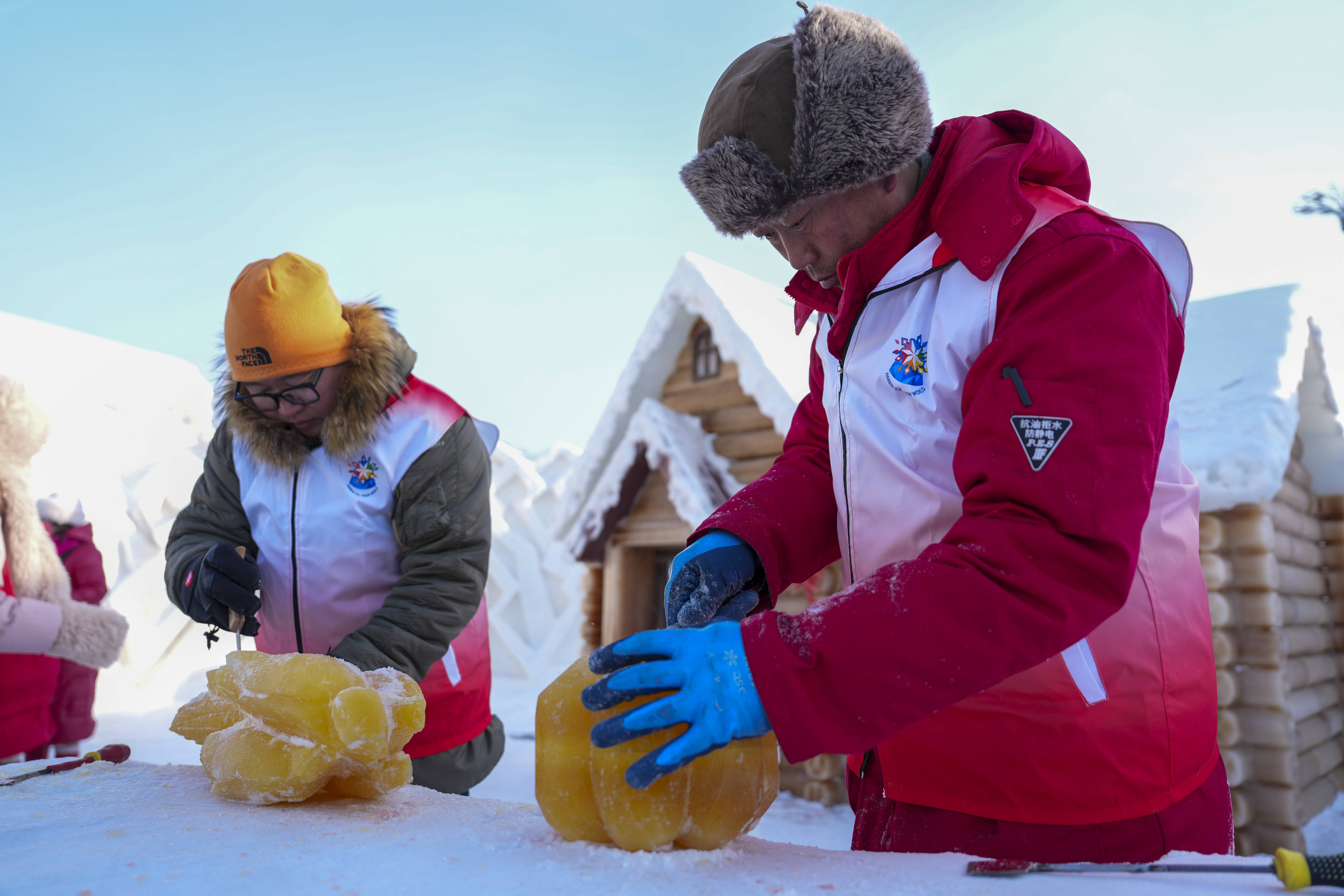 植物彩色冰现身冰雪大世界