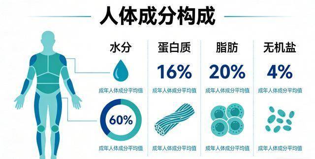 别再和脂肪“拼命”！科学减重的3个关键，让你瘦得健康又轻松