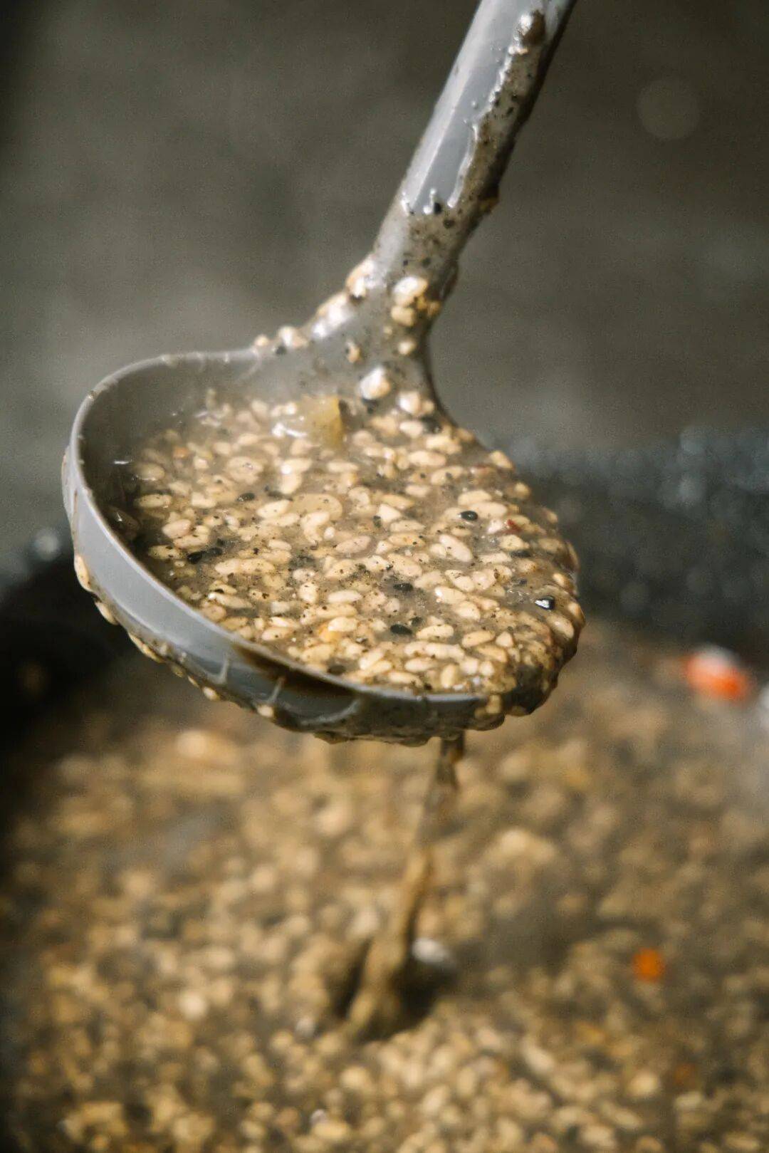 图片[6]-天越冷酒越暖！中国哪里的热酒最让人上头？ -华闻时空