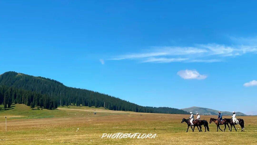 图片[16]-人均旅行焦虑的时代，我们为什么还要出发？-华闻时空