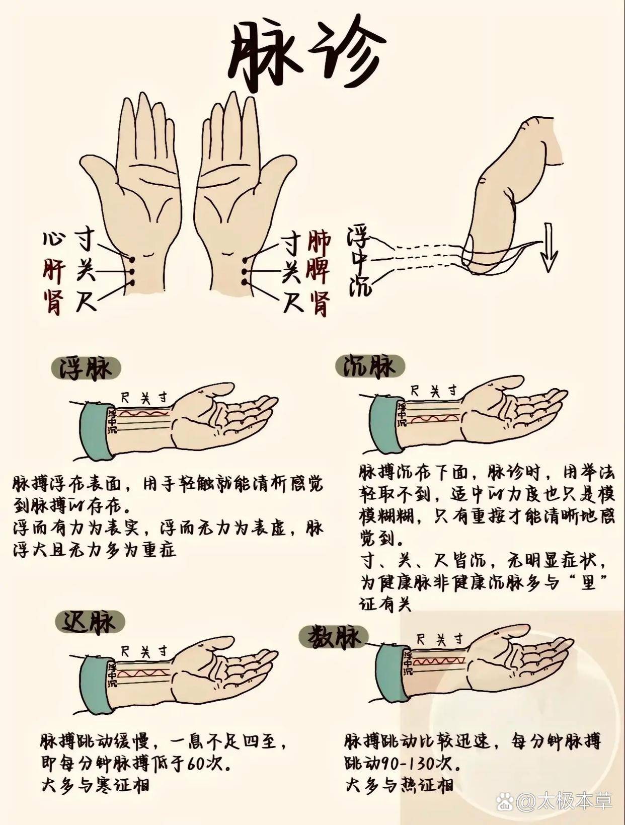 脉诊通关手册:指法练习 + 脉位判断 + 辨证应用,一篇搞定最新临床研究证实,精准脉诊可使中医辨证准确率提升58.7%,但90%的初学者因 ...
