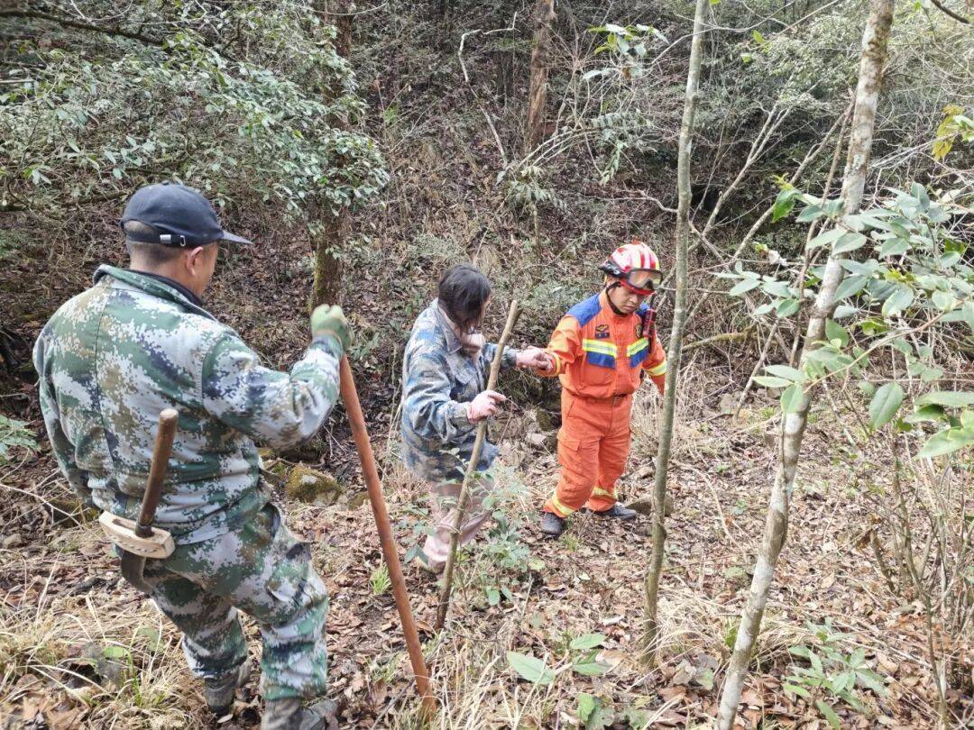 3名游客为上山喝茶、拍雪景擅闯武夷山镇七仙山保护区，分别处以罚款2900元