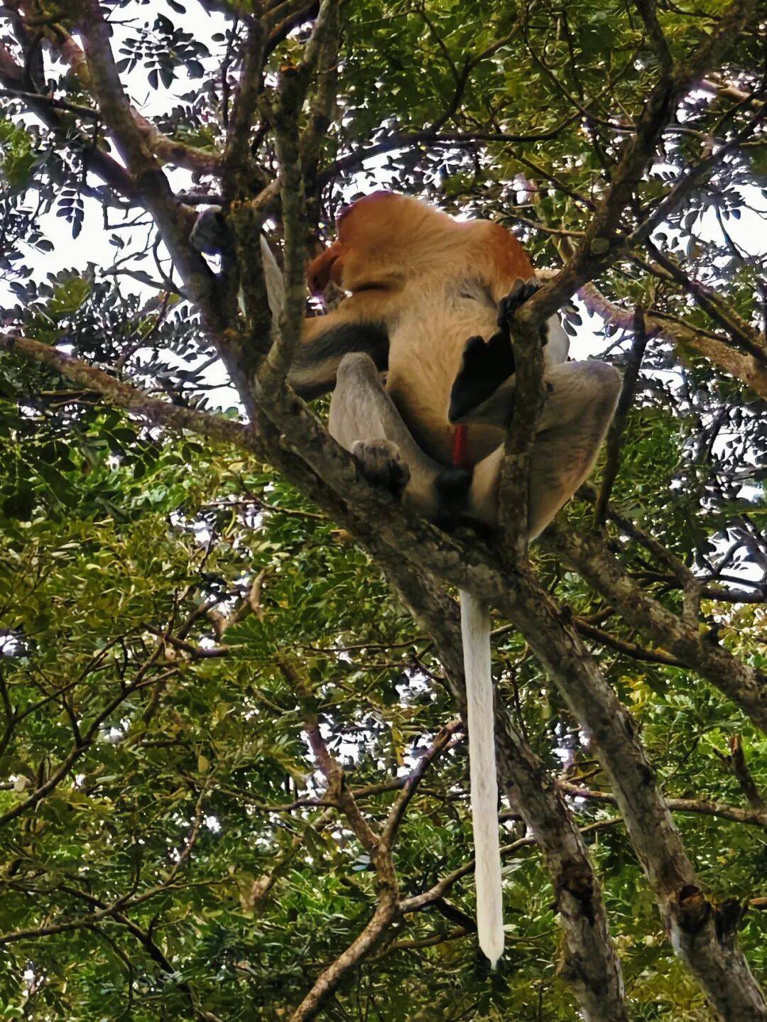 图片[3]-人均旅行焦虑的时代，我们为什么还要出发？-华闻时空