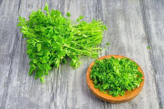 医生表示：吃一根香菜，就等于喝一杯降压茶，真的假的？可信吗？