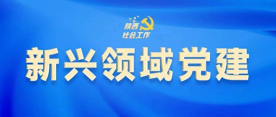 100个“两新”党组织获评五星级党组织_社会_陕西_新兴