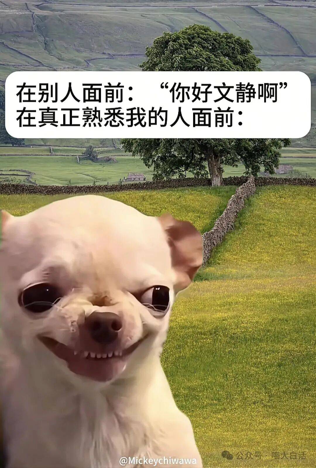 批图搞笑