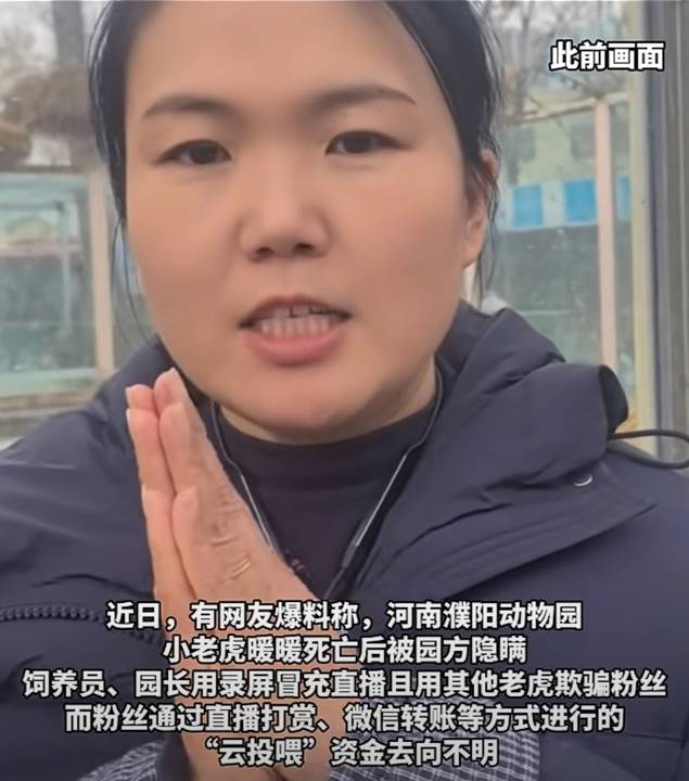 动物园隐瞒网红小老虎死讯，用录屏冒充直播欺骗粉丝打赏！多部门介入调查