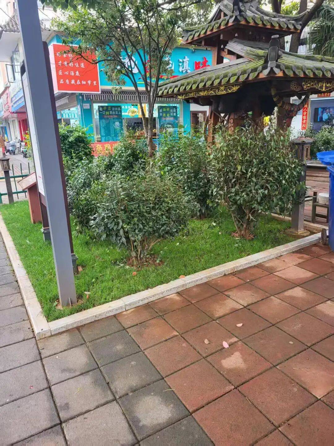 第一个茶文化社区，来了
