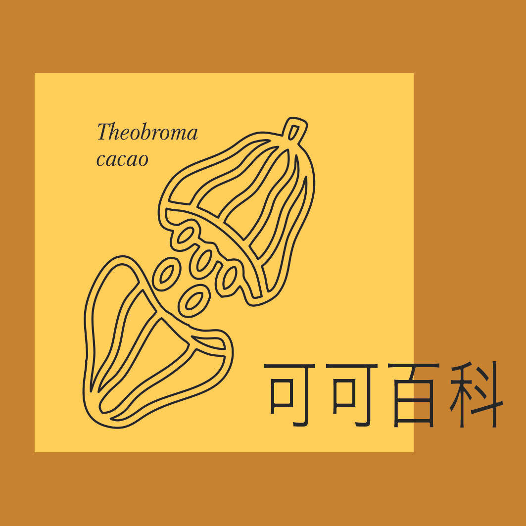 权威观察 | 第六届 CFCA 赛规拆解:精品可可的下一个赛点,藏在“结构”与“技术”里_巧克力_设备_风味
