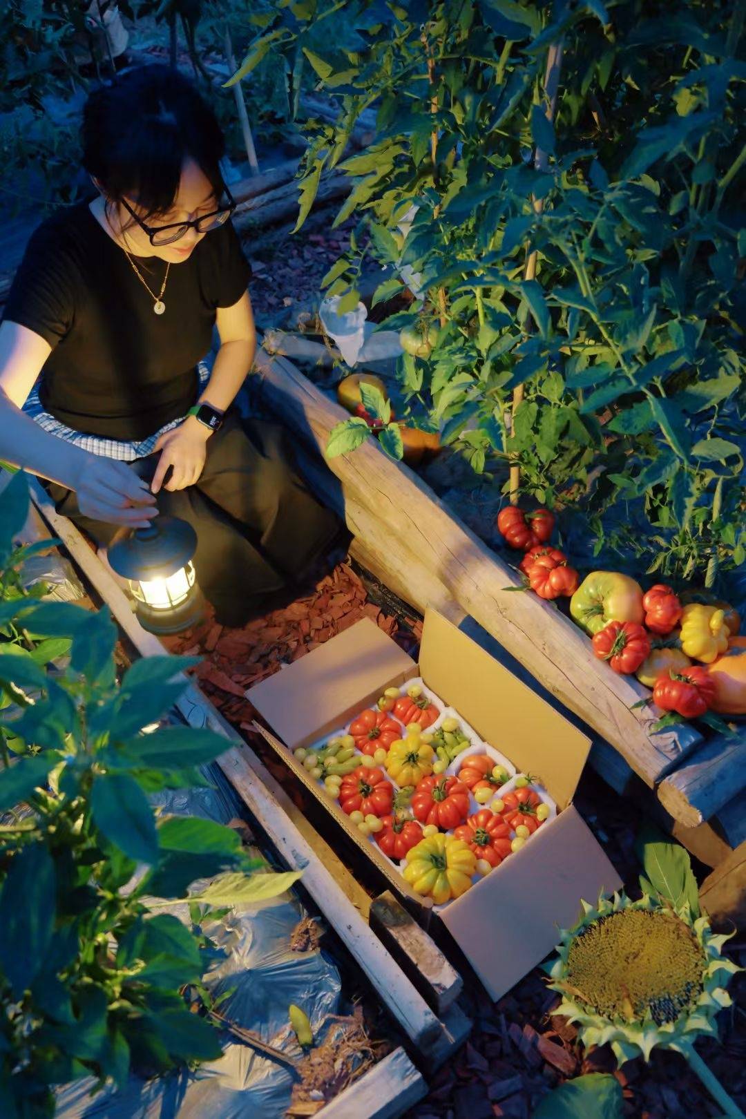一个年轻人放弃铁饭碗回农村盖房种地：村民很热情说一句能聊十句