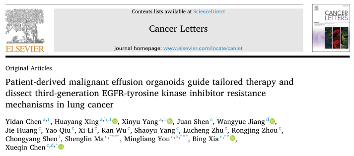 Cancer Letters |晚期肺癌恶性积液类器官模型，助力肺癌精准治疗并解析三代EGFR-TKI耐药机制_肿瘤_研究_临床