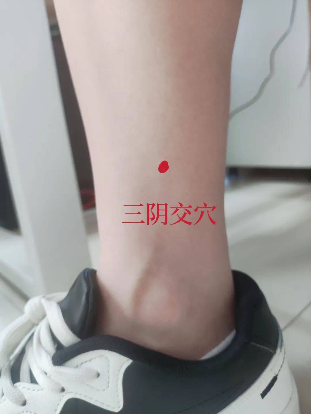 取穴在小腿内侧内踝尖上3寸胫骨内侧缘后际