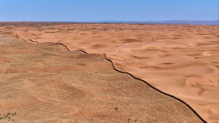 中国人种树到底有多厉害？ 图2