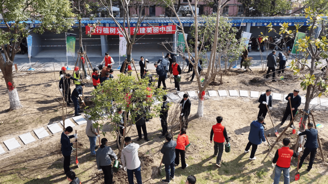 全国绿化苗木基地