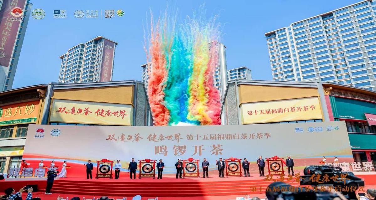 福鼎白茶是名茶吗